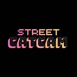 StreetCatCam